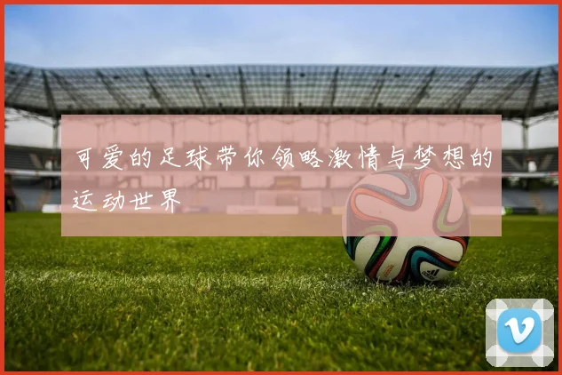 可爱的足球带你领略激情与梦想的运动世界