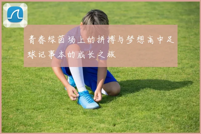 青春绿茵场上的拼搏与梦想高中足球记事本的成长之旅