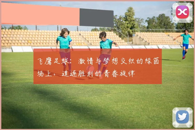 飞鹰足球：激情与梦想交织的绿茵场上，追逐胜利的青春旋律