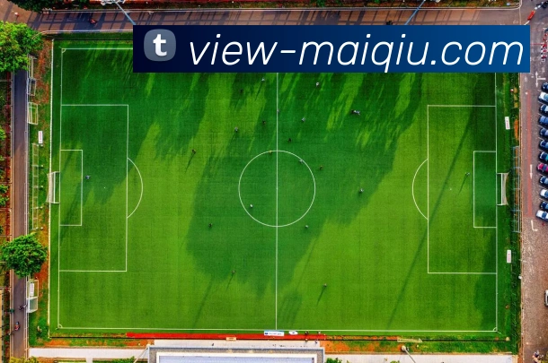 买球有限公司平台生态图