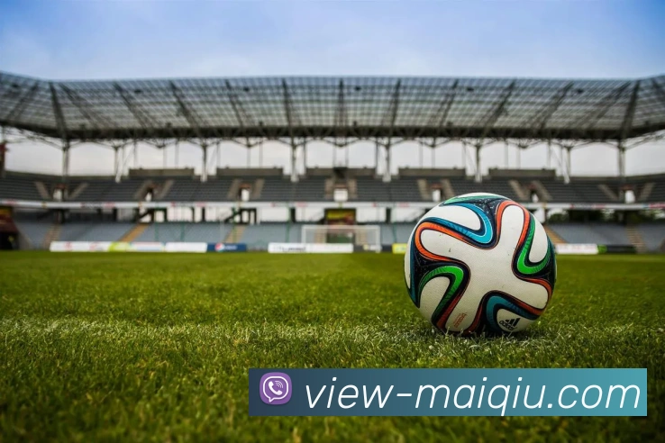 买球有限公司APP 封面图